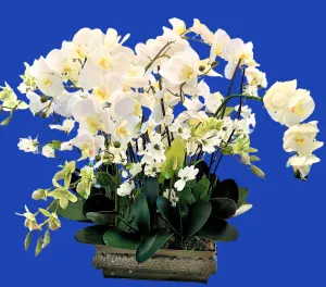 Centerpiece- Exotic & Graceful Orchid Centerpiece, 25"H X 30W X12" Base