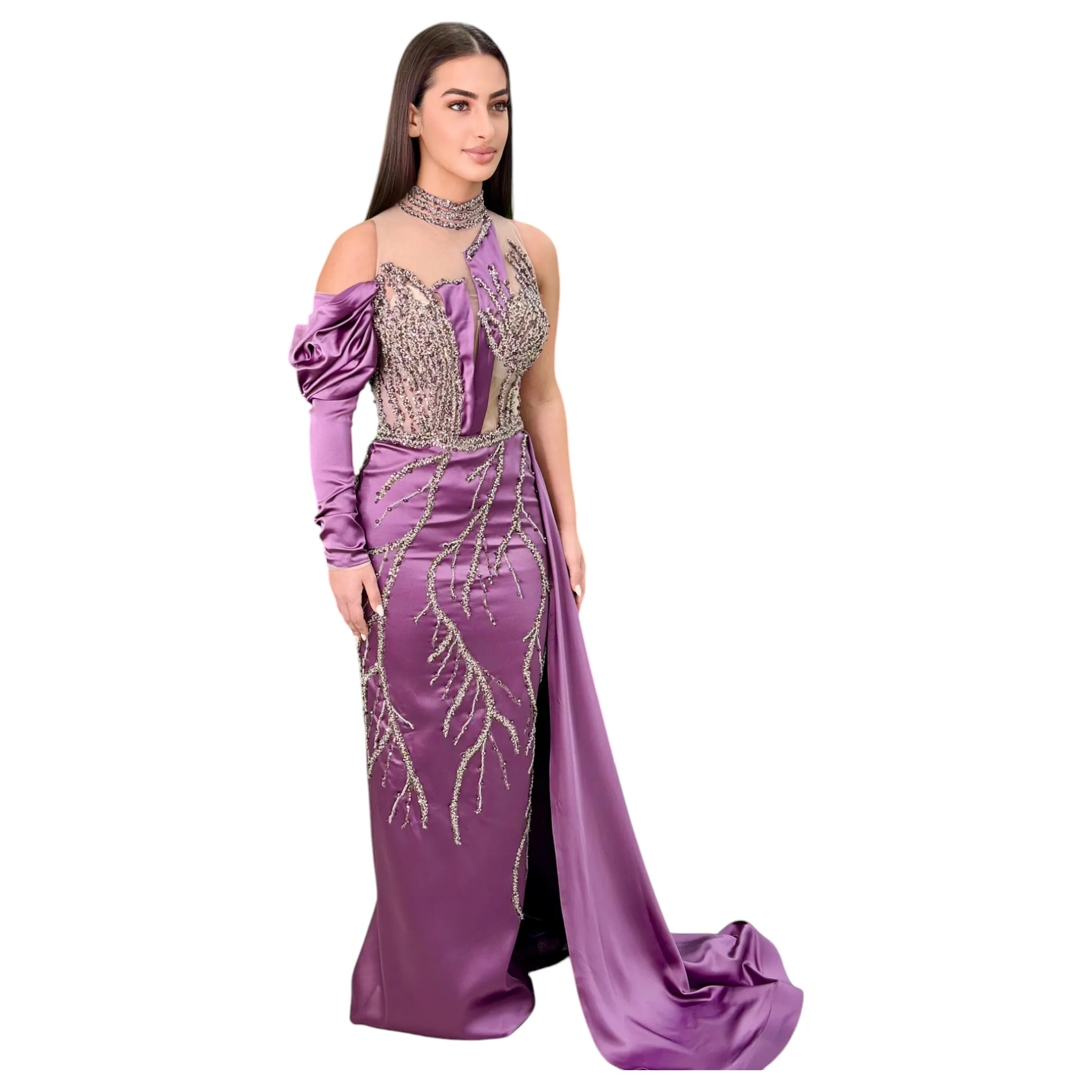 Elegant Mauve Long Dress-Detailed with Beautiful Crystals and Sequins