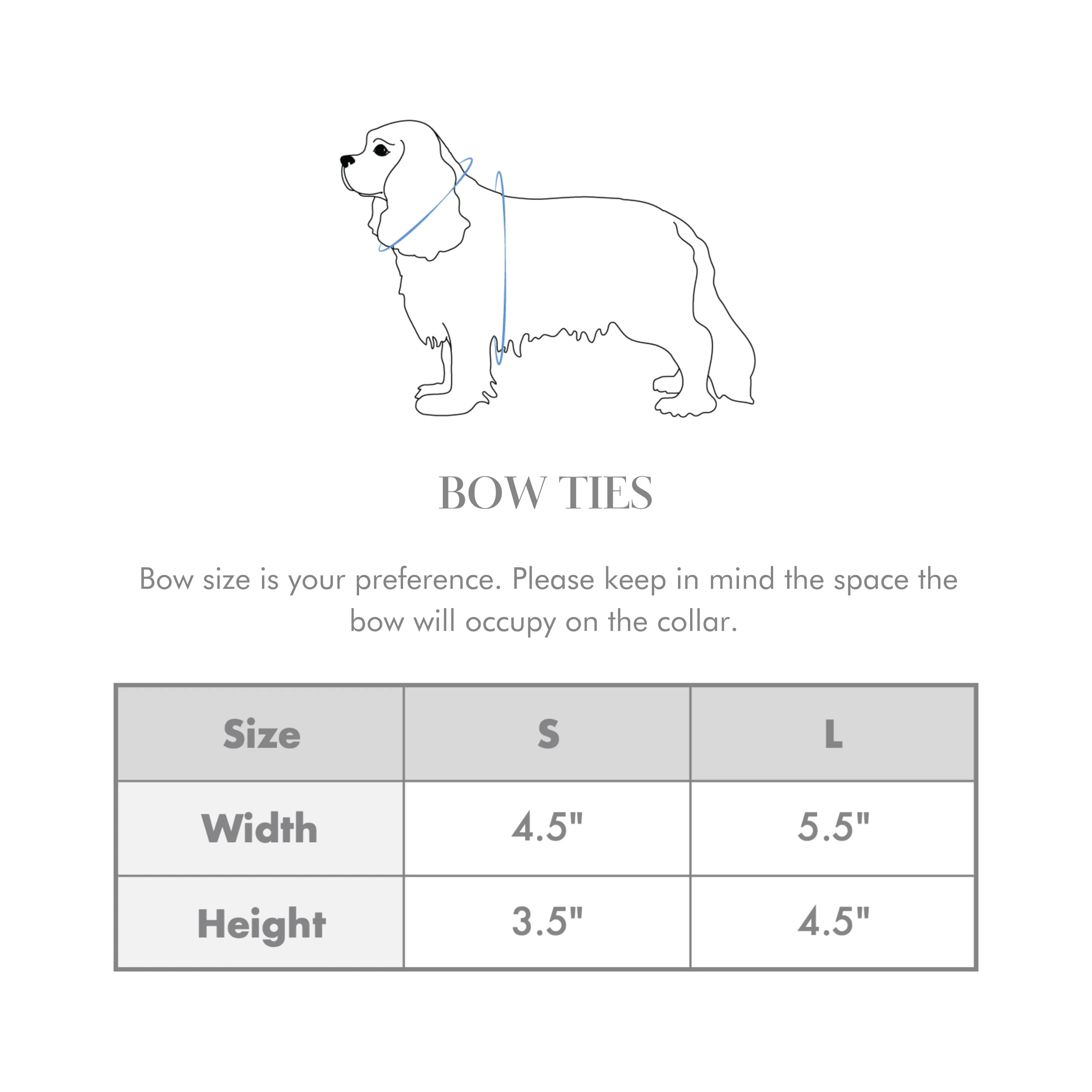 Endless Path Classic Dog Bow Tie
