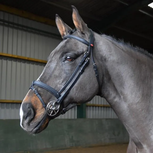 John Whitaker Ready to Ride Pre-Oiled Snaffle Bridle