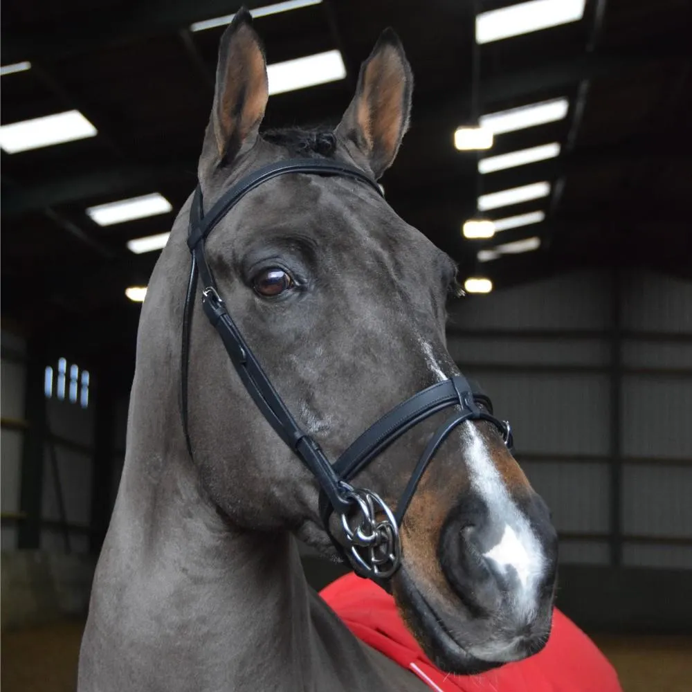 John Whitaker Ready to Ride Pre-Oiled Snaffle Bridle