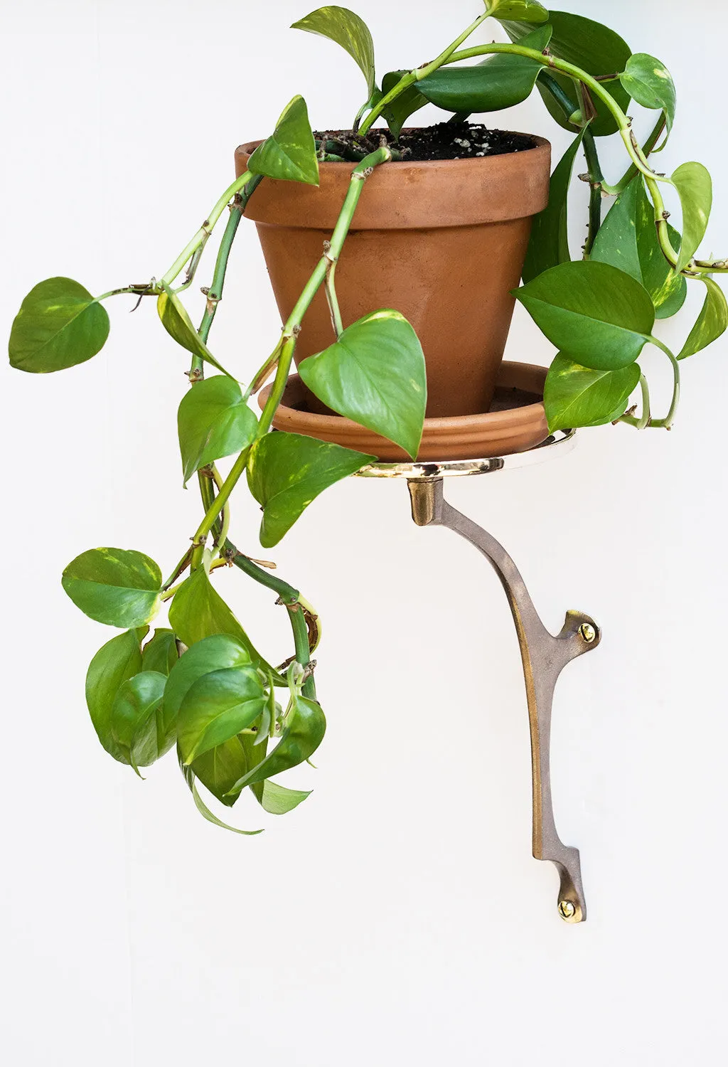 Large Plant Stand