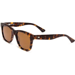 Lost & Found Sunglasses