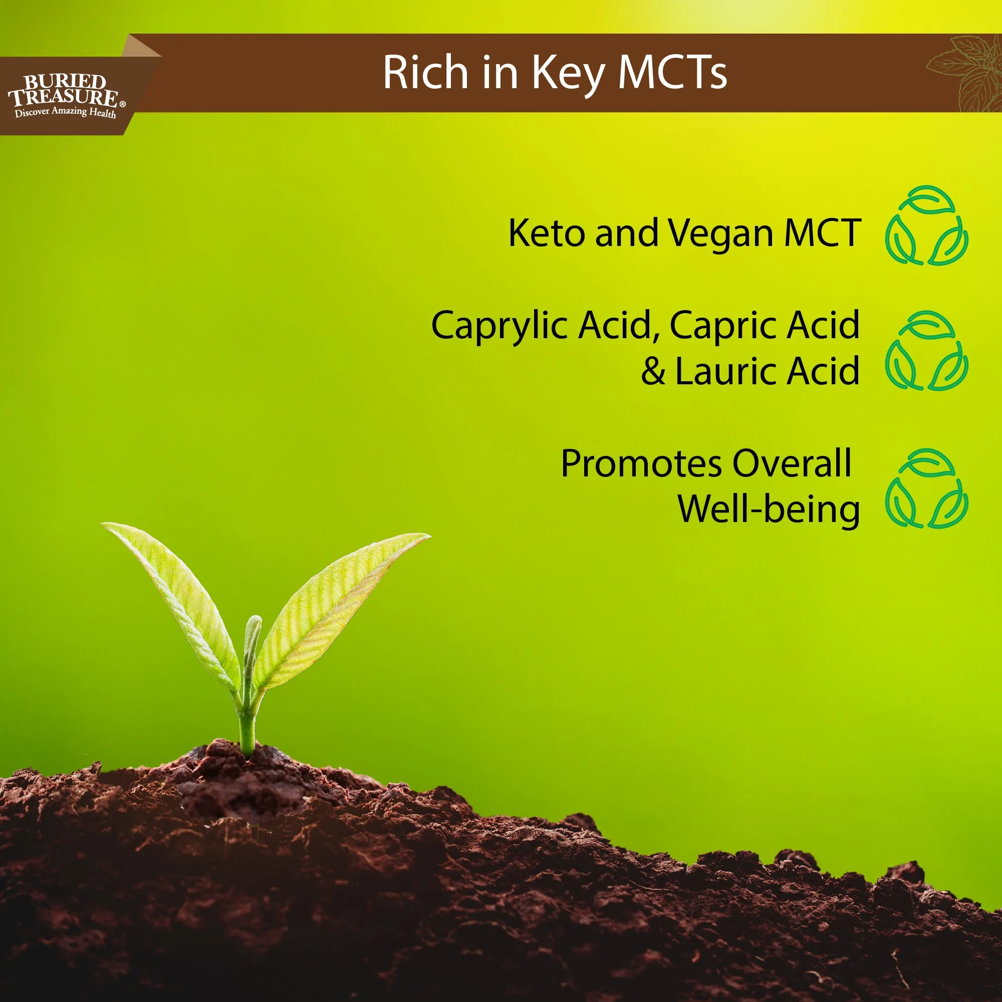 MCT Oil – Vegan Medium-Chain Triglycerides from Coconuts,96 Servings
