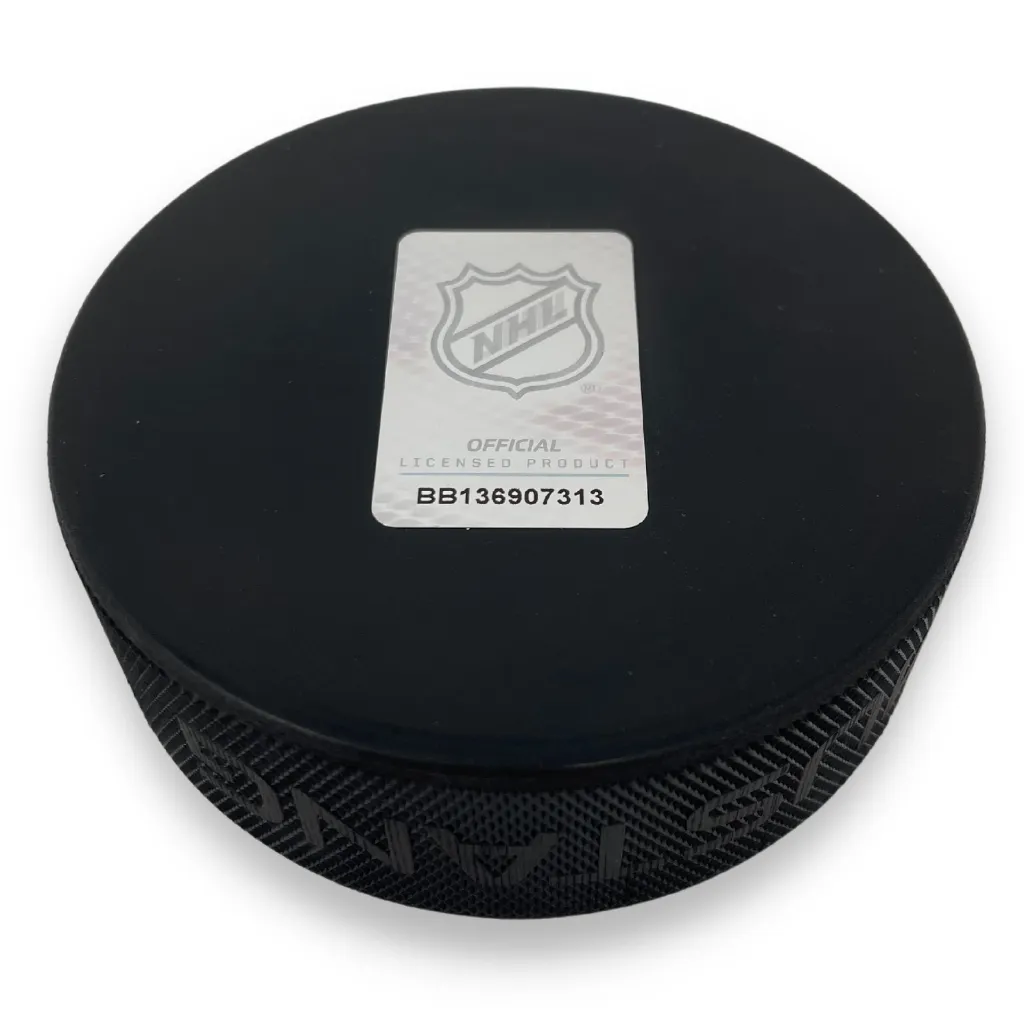NHL Winter Classic 2024 Event Logo Puck