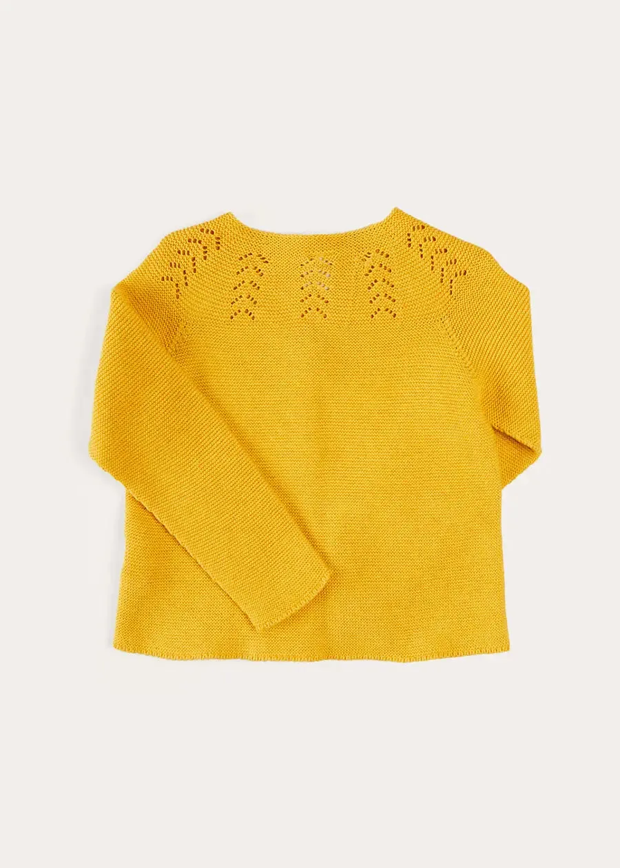 Openwork Cotton Cardigan in Mustard (12mths-10yrs)
