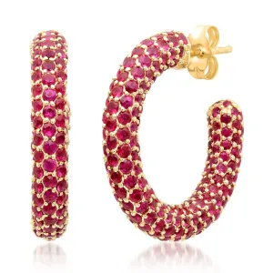Ruby Party Hoops