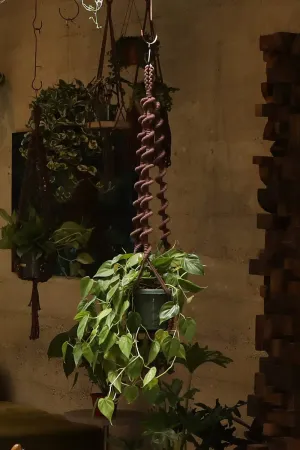 Soul of the Party - Wavy Plant Hanger