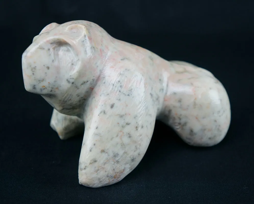 Strawberry Bear