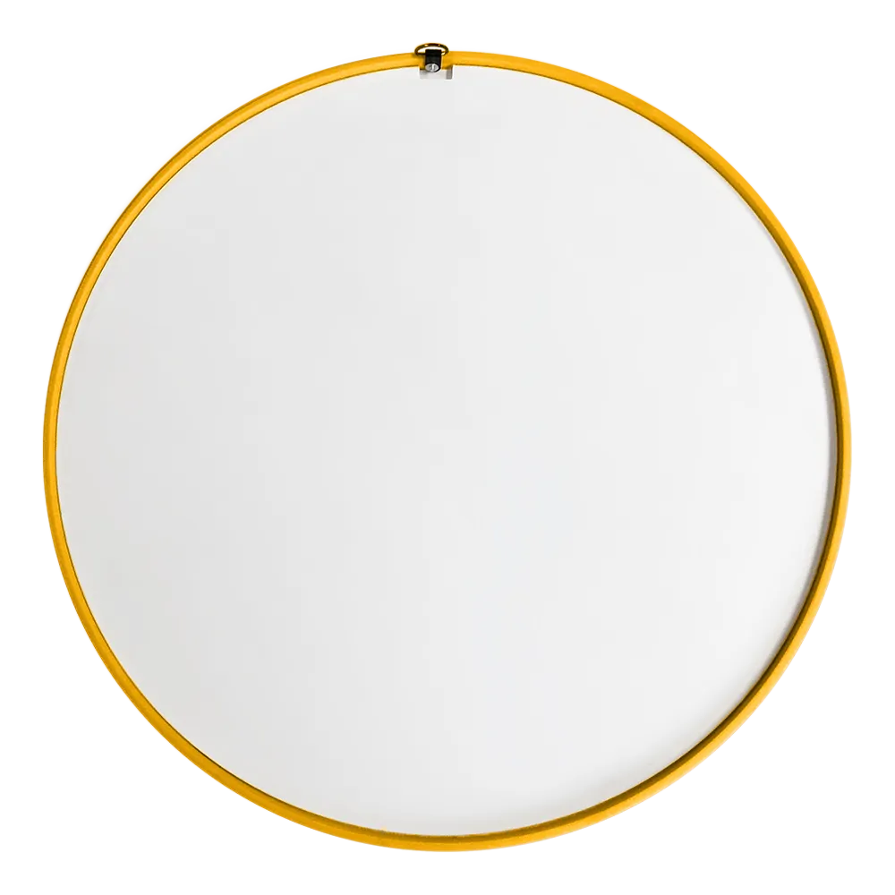 USC Trojans: Mascot - Modern Disc Mirrored Wall Sign