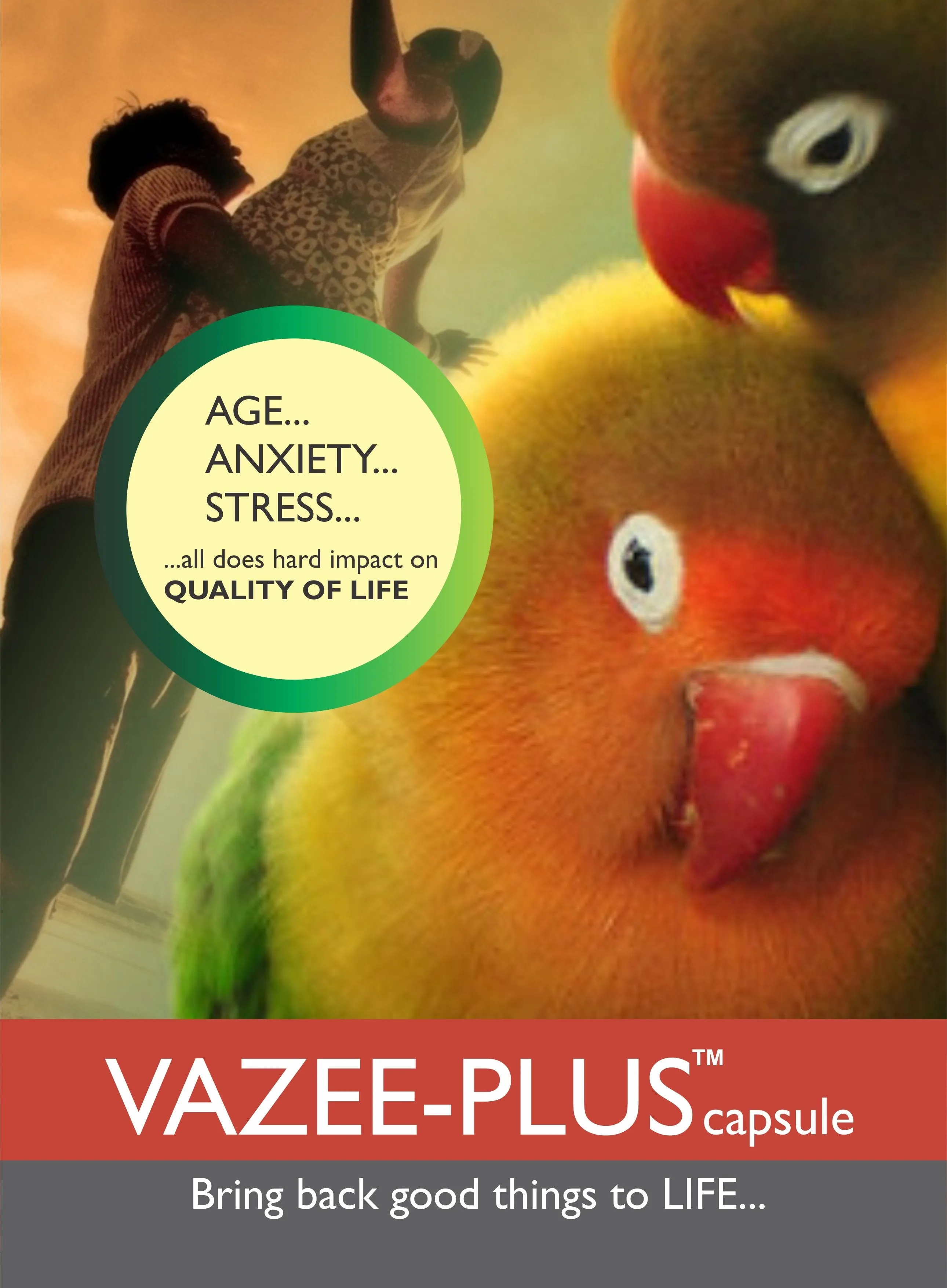 Vazee Plus, a Herbal Vitalizer for Vigor, Vitality and Performance booster with Ashwangdha